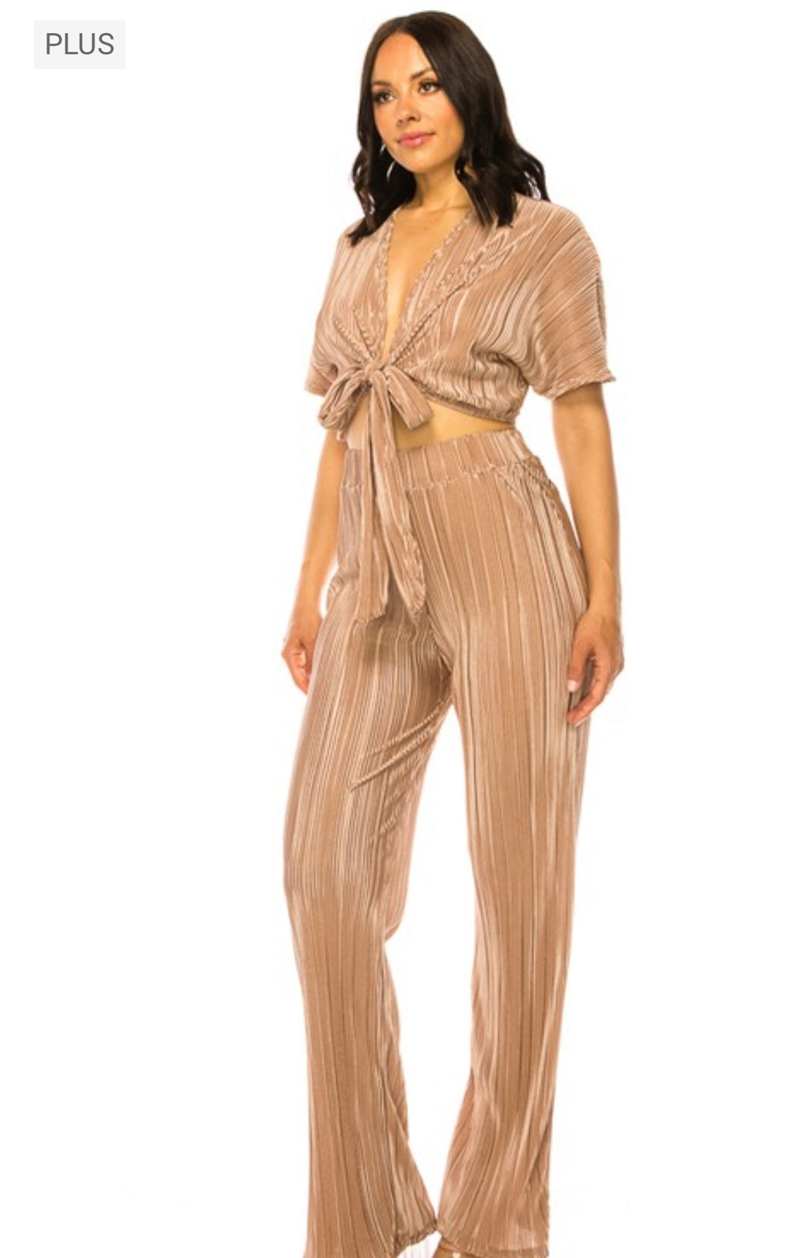 Pleated Pants Set