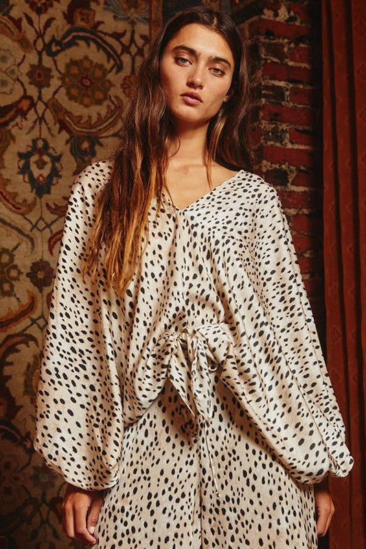 Animal Print Tie Front Satin Top